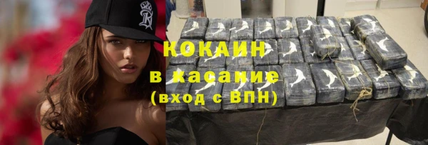 apvp Бородино