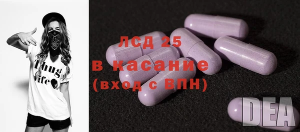 apvp Бородино