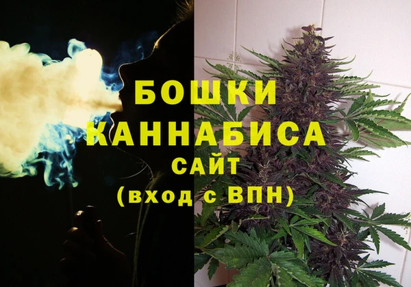 apvp Бородино